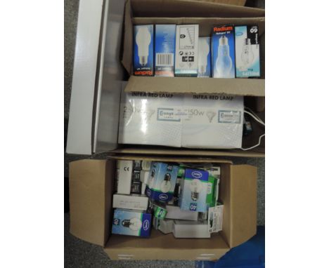 Two boxes of various light bulbs 