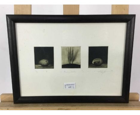 * STUART DUFFIN, BURNING BRICKS etching on paper, signed, titled, numbered 3/30 and date '93mounted, framed and under glass, 