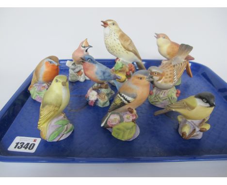 Royal Worcester China Birds, including Thrush 10.5cm high, Robin, Waxwing (9).