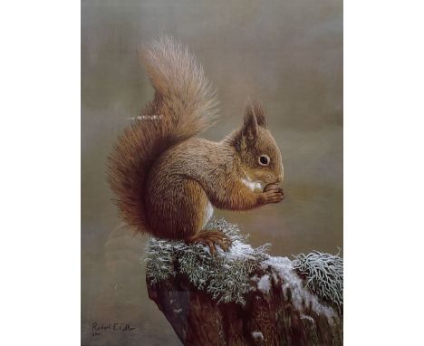 Robert E Fuller (British 1972-): 'Squirrel Nutkin', limited edition colour print signed and numbered 20/850 in pencil 38.5cm 