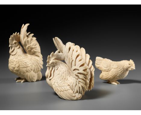 A GROUP OF IVORY OKIMONO DEPICTING ROOSTERS WITH HENJapan, Meiji period (1868-1912)Naturalistically carved with two roosters 