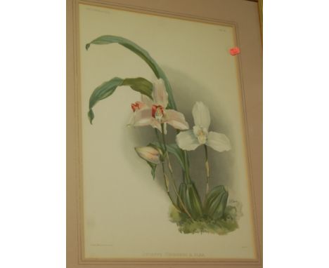 After HG Moon - set of three botanical prints, one other Redoute print (4)