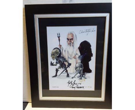 Lord of the Rings signed framed print. Fantastic framed caricature print of the Lord of the Rings actors, measuring 15x17 inc