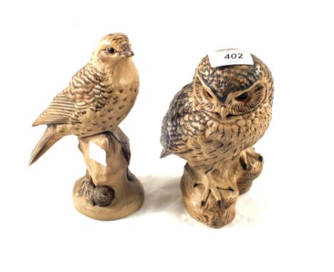 A Poole Owl and Thrush by Barbara Linley-Adams