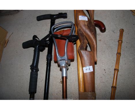 A quantity of walking sticks and a shooting stick.