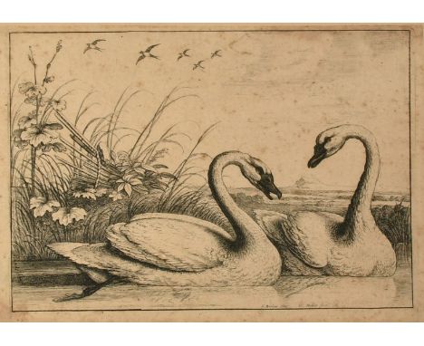 Hollar after Barlow, 'Two Swans Swimming', etching, 5.5" x 8" (14 x 20cm), along with an Old Master print of Dordrecht by ano