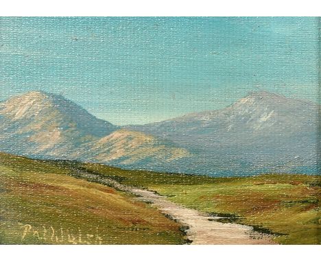 Patrick Walsh (20th Century) Ireland, 'Near Molls Gap, Ring of Kerry', oil on canvas board, signed, labels verso, 3" x 4" (8 