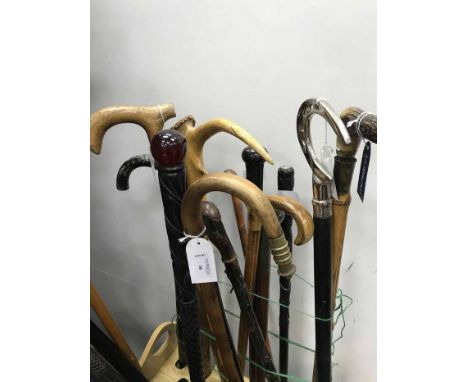 LOT OF ANTIQUE WALKING STICKS including a Japanese carved stick, along with other ornately carved examples, some including ho