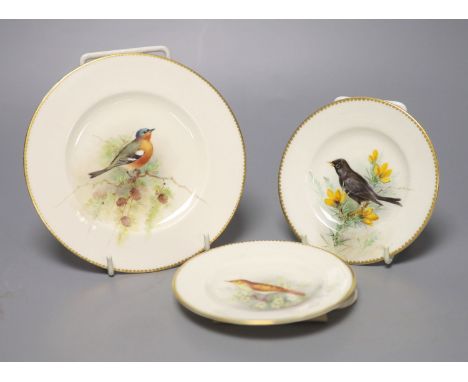 A pair of Royal Worcester plates, painted with a blackbird or a Grasshopper Warbler, date mark 1918, and a larger plate paint