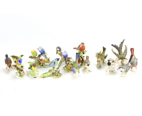 A collection of Royal Adderley and Goebel porcelain figures of birds. Including a blue tit, budgerigars, etc. Maxium height 1