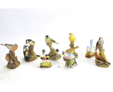 Eight Royal Worcester and Royal Staffordshire models of birds. Including 'Cole Tits', 'Pied Woodpeckers', 'Yellow Hammers', e