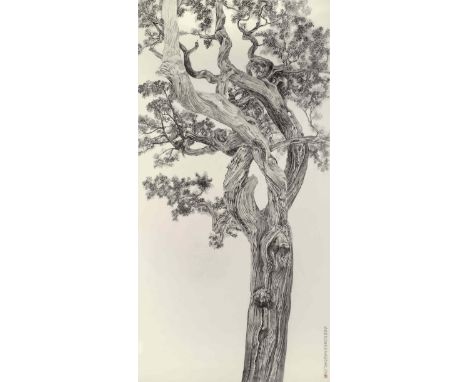 LIU DAN (b.1953)Old Cypress from the Forbidden City, 2007Ink on xuan paper, signed in lower right corner.  259.1cm high x 137