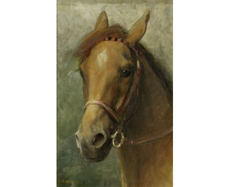 Charles A. Buchel (British, 1872-1950)Portrait of horse  signed 'C.BUCHEL' (lower left)oil on canvas laid to board54.6 x 34.6