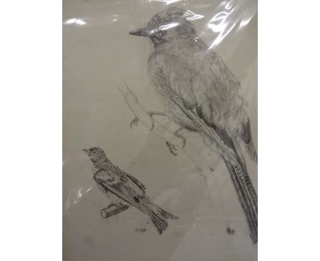 John Arnott 1920's pencil drawing of 2 birds plus signed John Trickett limited edition print 96/500 of hunter with dogs