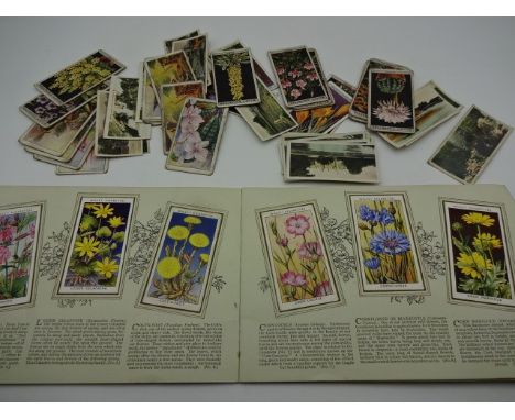 Album of Wills cigarette cards of wild flowers plus quantity of loose cards including Players, Wills, Carreras, army club etc