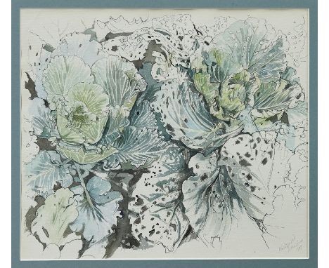 *Richard Bawden (b.1936) pen, ink and watercolour - cabbage patch, signed and dated 1987, in glazed frame, 34cm x 39cm