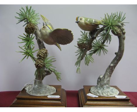 A Pair of Royal Worcester Porcelain Models of Goldcrest Regulus cristatus and Larch, modelled by Dorothy Doughty, number 18 o