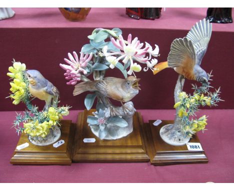 A Royal Worcester Porcelain Model of Nightingale Daulias luscinia and Honeysuckle, modelled by Dorothy Doughty, number 3 of a