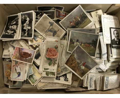 A box of various loose cigarette cards, including dogs, hunting scenes, animals etc