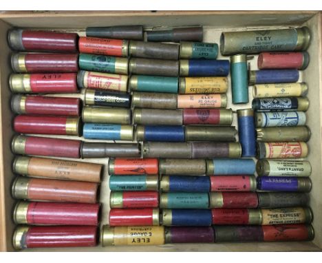 A case of early vintage shotgun cartridges including 4 bore, 8 bore, 8 bore long, 12 bore together with an additional case in