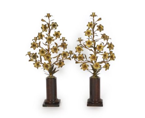 A pair of 19th century French ormolu five light candelabra modelled as lilies,on rouge marble socles,width 45cm height 85cmBo