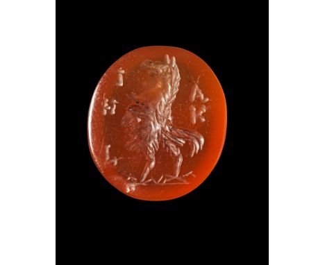 Sog. Hippalectryon aus rotem Karneol. 19. - 20. Jh. H 1,8cm. Auf dem hochovalen Intaglio eine Kombination aus einem Pferdekop