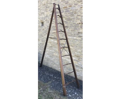 An early Victorian mahogany and gilded pole or library ladder of ten graduated tiers, within a shaped and fluted pole of thre