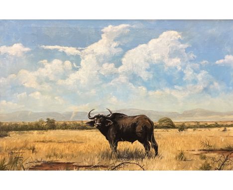 M J S MACKENZIE "Ishasha Bull Buffalo", oil on canvas, signed, titled and dated "1972" lower  left, bears "Exhibition Society