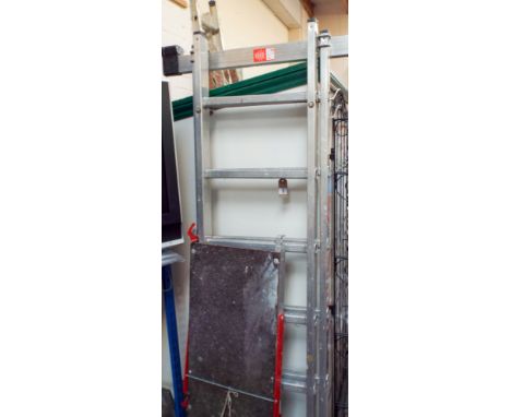 Domestic ladder converts to steps with tower