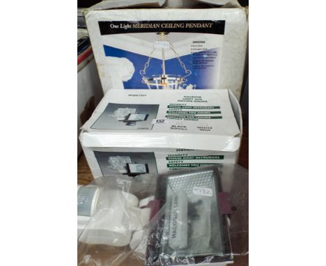 A new ceiling light fitting and two new halogen security floodlights with motion sensors