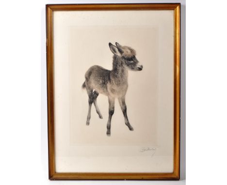 Kurt Meyer-Eberhardt (1895-1977) - A dry point etching depicting a baby donkey. Signed in pencil by the artist to the bottom 