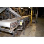 Motorized Belt Conveyor (Meat Belt), 30 ft. Height x 24 in. Wide Belt, Approx. 5 HP Motor, 230/460