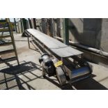 Stainless Steel Motorized Belt Conveyor 20 ft. Length x 18 in. Wide, 1 HP Motor, 208 Volt