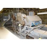ESM Electronic Sorting Machine, Motorized Belt & Drop