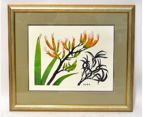 † BRYAN POOLE (1953-2022); coloured etching, 'Phormium Tenax - Harakeke Flax', no.78/150, signed in pencil lower right, numbe