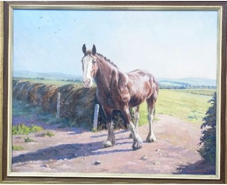 Phil H. Marriner (British, 20thC) Portrait of a Shire Horse "Manor House June" oil on canvas, signed bottom right, bears arti