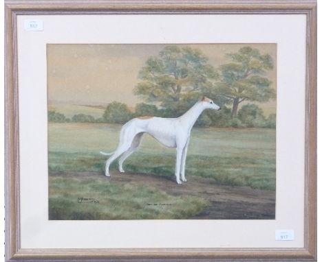 N. Roberts (20th Century) Portrait of a Greyhound "South Ball Moonstone" watercolour, signed and dated 1934 14in x 18in (35.5