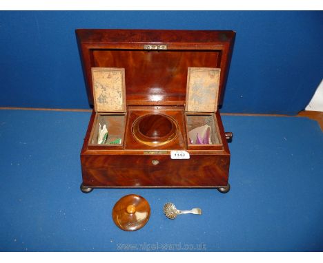 A large Mahogany sarcophagus Tea Caddy on bun feet with central compartment having a mixing bowl of matching wood pattern, 14