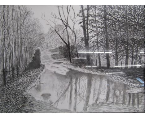 Framed Arches Hockney print from 'The Arrival of Spring' collection - approx. 82.5cm x 62.5cm