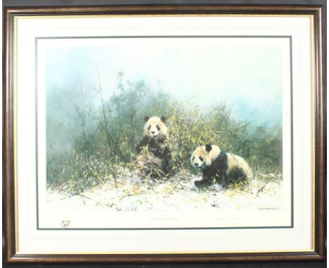 DAVID SHEPHERD. The Pandas of Wolong.  Colour Print.  Signed. Image 17" x 24" (43 x 61cms).  Framed.