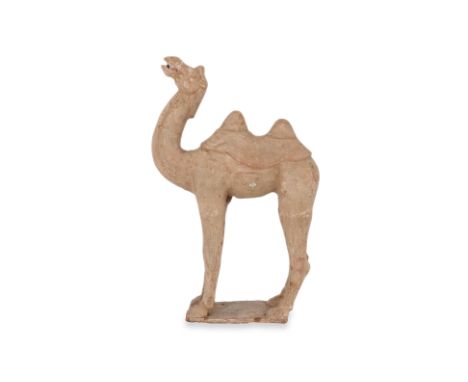 A LARGE POTTERY MODEL OF A BACTRIAN CAMEL
Tang dynasty, hollow-formed unglazed earthenware, modelled standing with neck arche