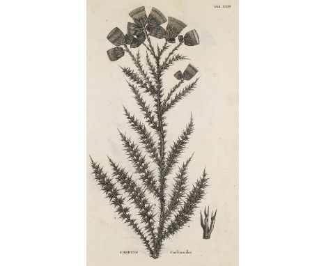Botanik - - Antoine Gouan. Illustrationes et observationes Botanicae, ad specierum historiam facientes. Seu rariorum plantaru
