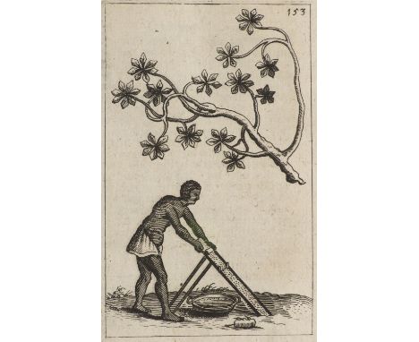 Karibik - Antillen - - Charles César de Rochefort. Historische Beschreibung der Antillen Inseln in America gelegen. In sich b