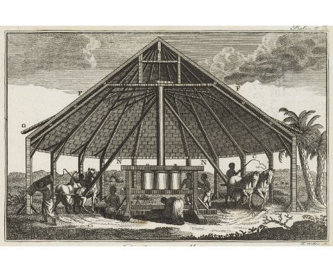 Amerika - - C. C Robin. Reisen nach dem Innern von Louisiana, dem westlichen Florida und auf die Inseln Martinique und St. Do