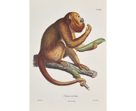 Alexander von Humboldt u. Aimé Bonpland. Voyage aux régions éqionoxiales du nouveau continent. 30 Bände. Faksimile der Ausgab
