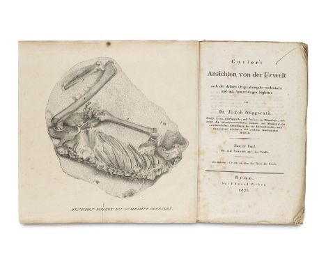 Geologie - Paläontologie - - Georges Cuvier. Ansichten von der Urwelt nach der zweiten Orginalausgabe verdeutscht und mit Anm