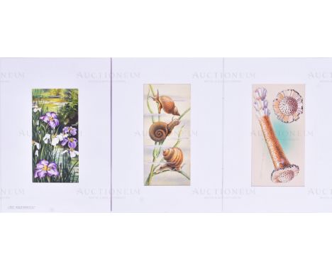 Mardon Son &amp; Hall - x3 pieces of detailed, mixed media, original artworks, believed to be completed by artists for worked
