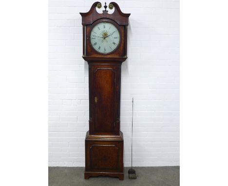 An oak grandfather clock with walnut veneers , broken swan neck pediment over a painted dial with a parrot, 50 x 211 x 24cm. 