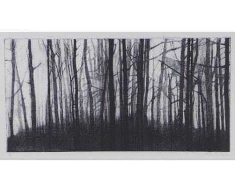 WENDY SUTHERLAND, TREE LANDSCAPE, FRAMED PRINT, SIGNED IN PENCIL AND NUMBERED 1/10, 54 X 30cm 