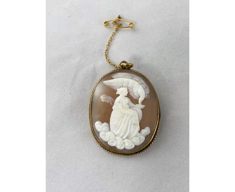 A Victorian oval shell cameo in yellow metal surround with rope twist border, depicting a woman and bird, possibly Leda and t